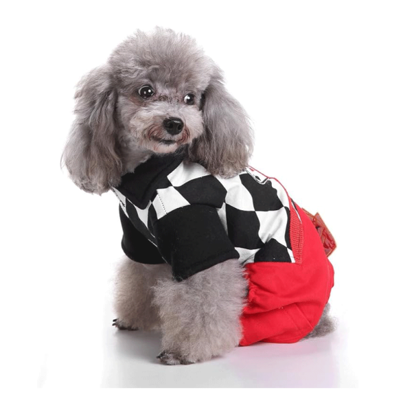 Small dog wearing Joker Dog Costume