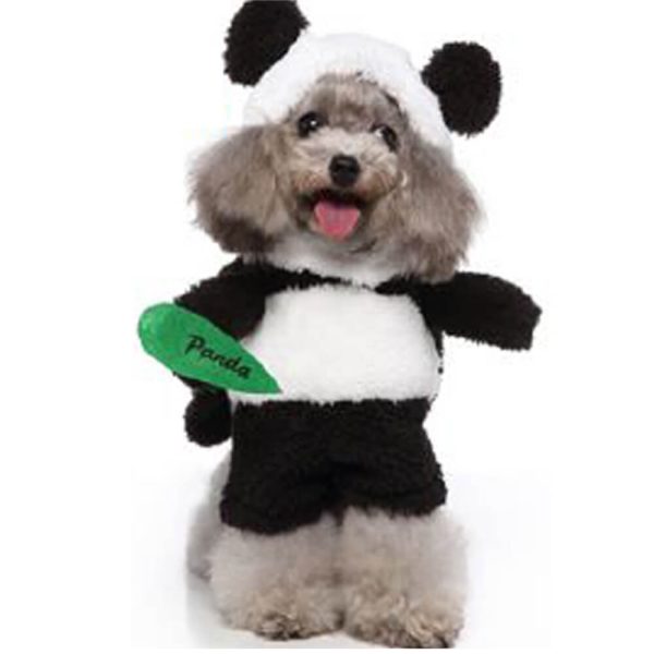 Dog wearing panda dog costume