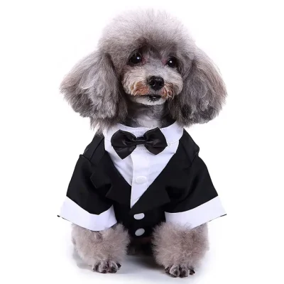 Dog dressed in a formal tuxedo dog costume
