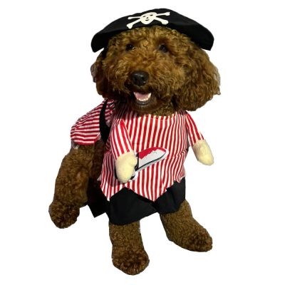 Pirate Dog Costume