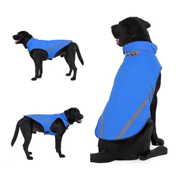 Storm Shield Dog Coat