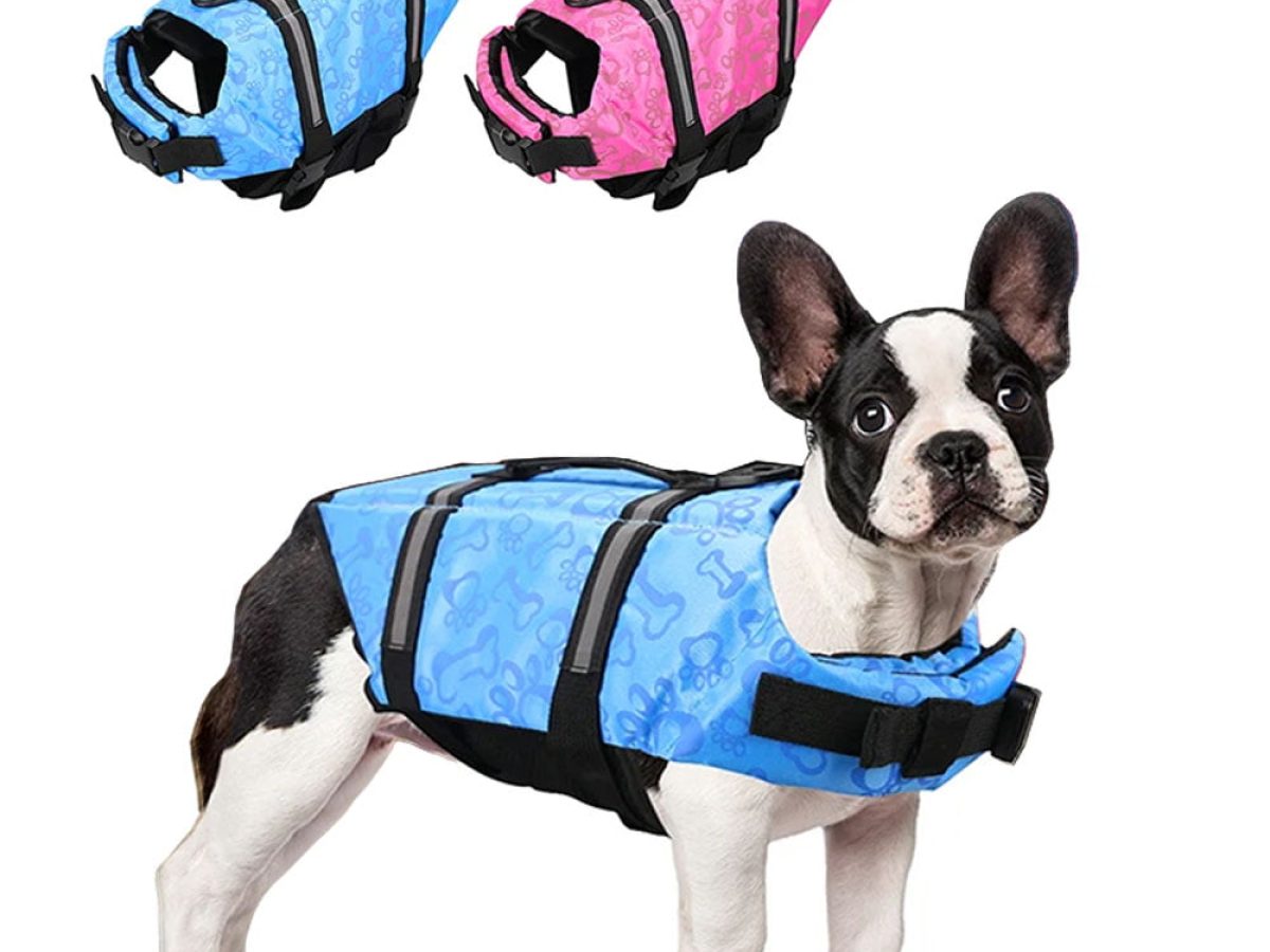 Dog Life Jacket Life Jackets Water Safety For Dogs