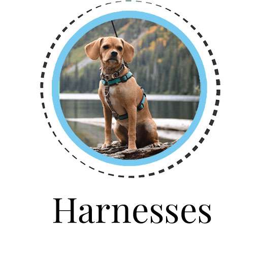 Dog Harnesses