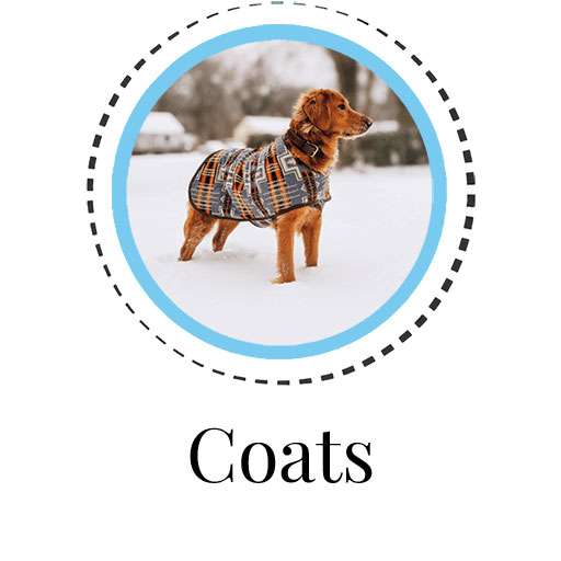 Dog Coats