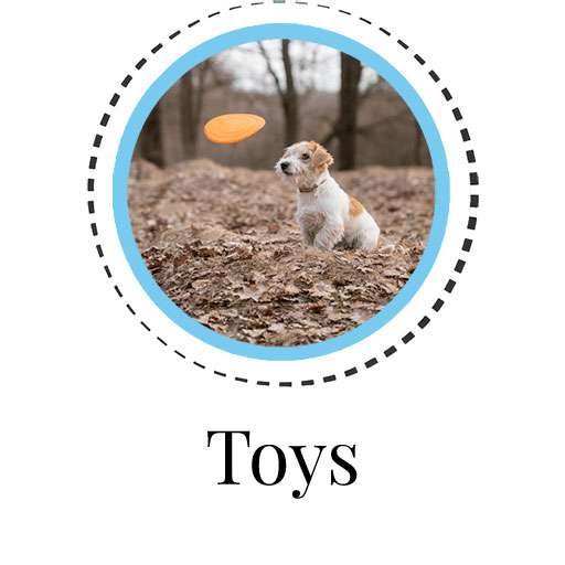 Dog Toys