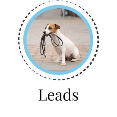 Dog Leads