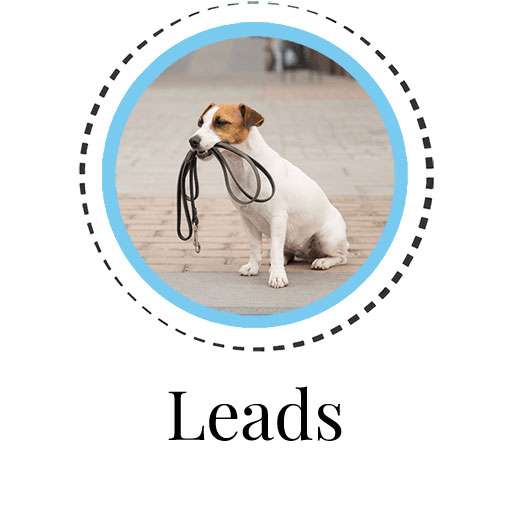 Dog Leads