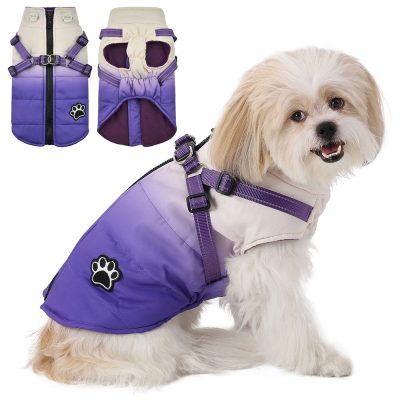Dip Dye Dog Coat