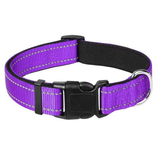 Purple Reflective Nylon Dog Collar with an adjustable strap, neoprene padding for comfort, reflective stitching for visibility, and a strong stainless steel D-ring for lead attachment.