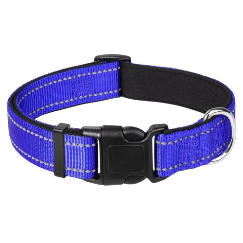 Blue Reflective Nylon Dog Collar featuring adjustable strap, soft neoprene padding, reflective stitching, and sturdy stainless steel D-ring for lead attachment.