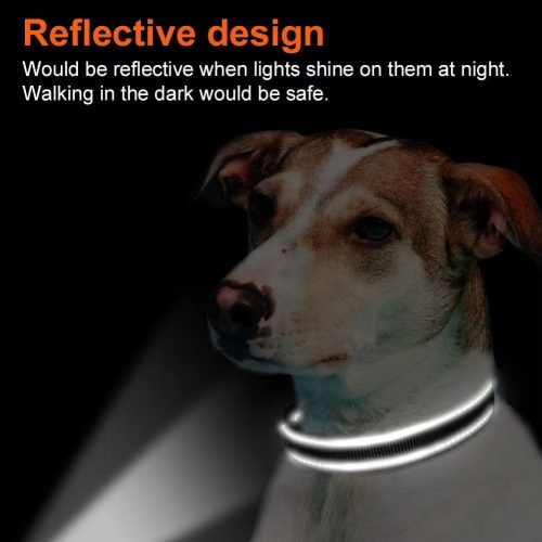 Dog wearing the Reflective Nylon Dog Collar, highlighting the highly reflective stitching in low light for enhanced visibility during evening walks.