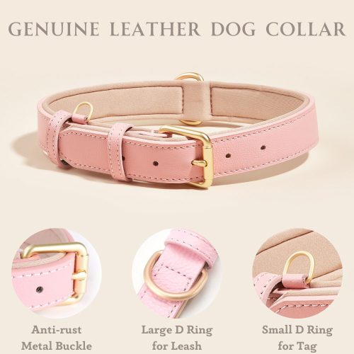 Luxury Soft Padded Leather Dog Collar in Light Pink – Showcasing Features Including Anti-Rust Buckle and Dual D-Rings for Lead and Tag Attachment.