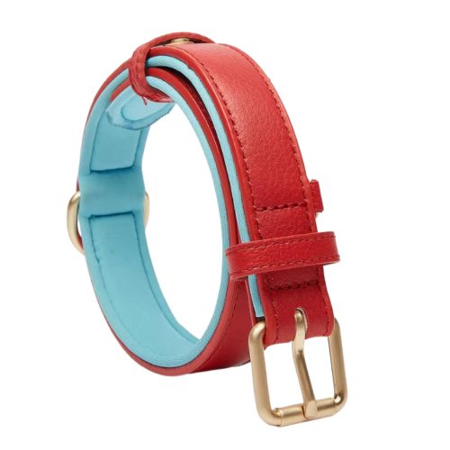 Luxury Soft Padded Leather Dog Collar in Bold Red – Highlighting Stylish Design and Premium Craftsmanship.