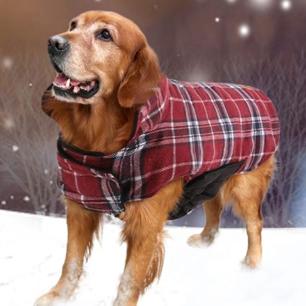 Braveheart Plaid Dog Coat