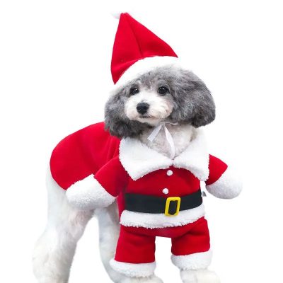 Santa Paws Dog Costume