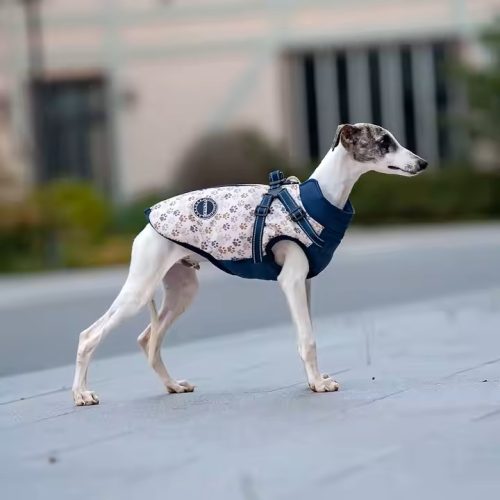 Waterproof dog puffer coat with harness, featuring a navy blue paw-print design.