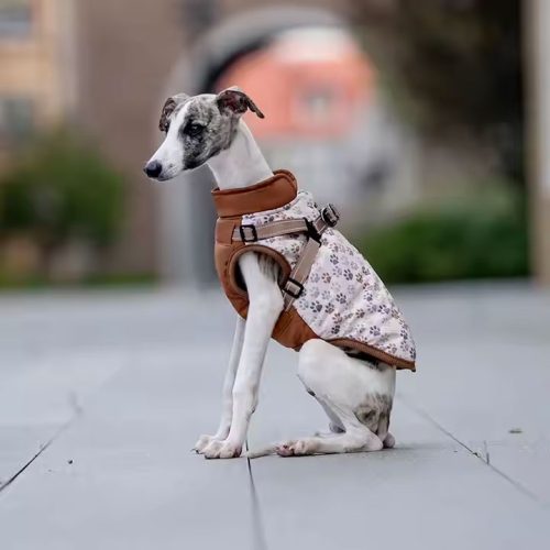 Waterproof dog puffer coat with built-in harness and fleece lining, perfect for keeping small dogs warm and dry. The colour shown is brown.