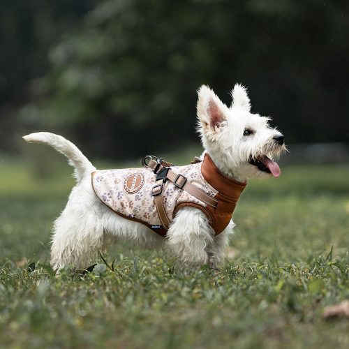 Elite Puffer Dog Coat with built in harness for small dogs, designed for warmth and safety in cold weather.