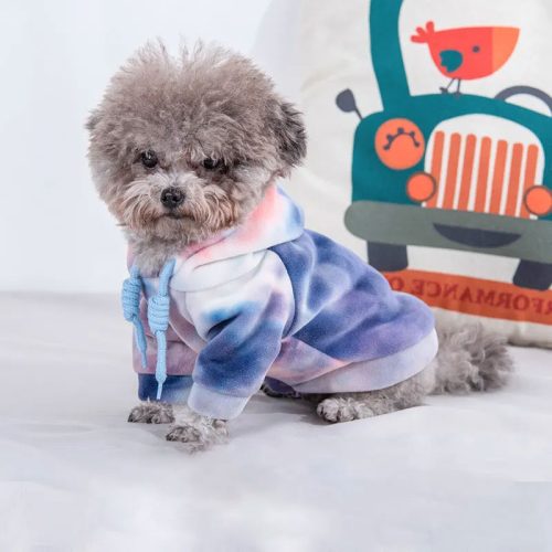 Small dog wearing a soft tie-dye hoodie in a vibrant violet mix colour choice, perfect for spring outings and comfort.