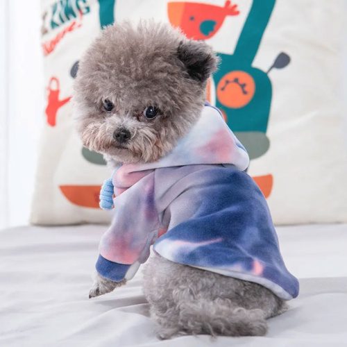 Small dog in a stylish tie-dye hoodie with a violet mix design, ideal for comfort and spring walks.