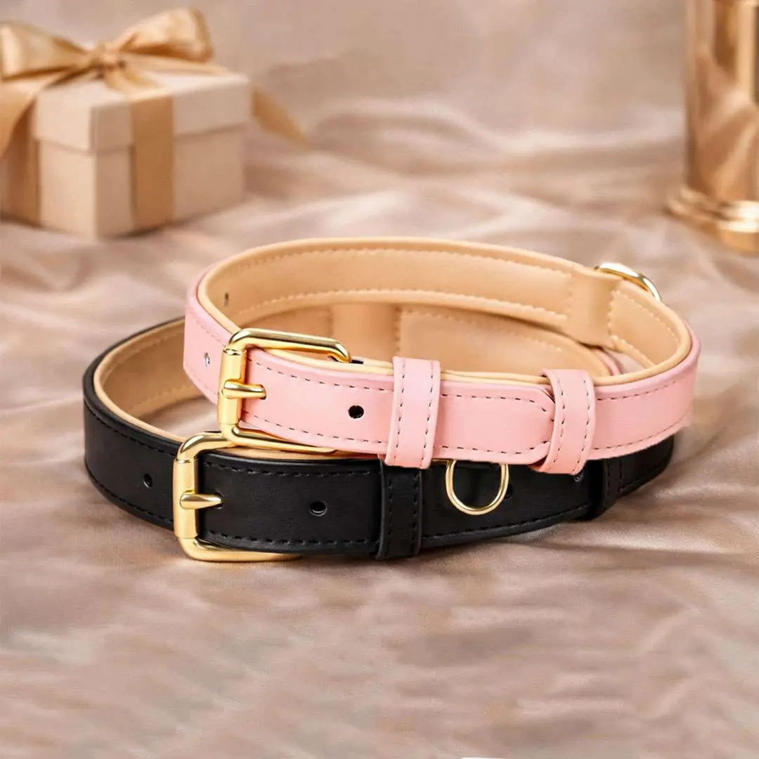 Luxury Soft Padded Leather Dog Collar