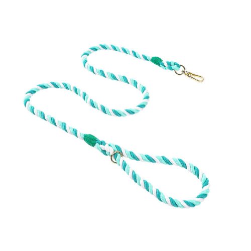 Twisted rope dog lead in light and dark green with white accents, evoking a fresh, earthy feel, laid out with metal clasp visible.
