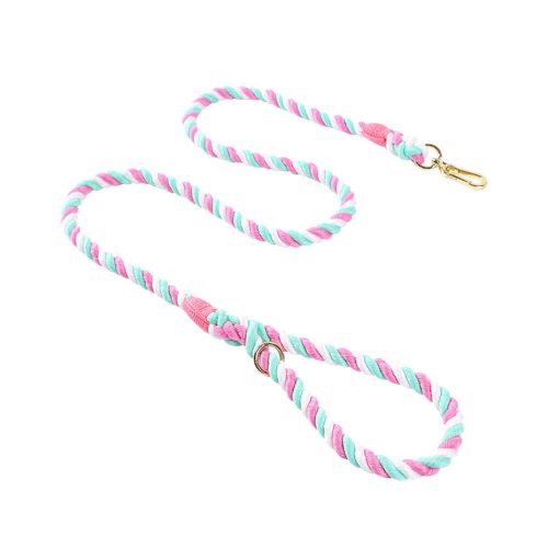 Pink, green, and white braided dog lead inspired by watermelon colours, shown in a bright setting to highlight its playful design.