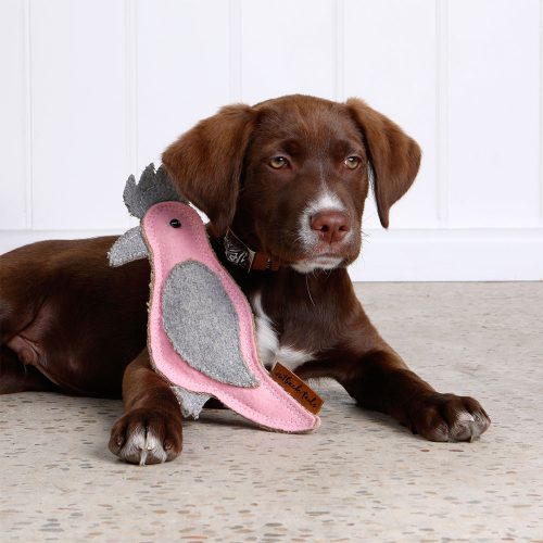 Fun and feathery felt toy for dogs – Gertie the Galah by Outback Tails