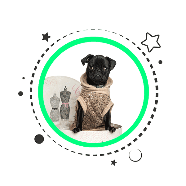Designer Dog Clothes Product Category