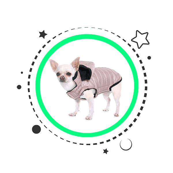 Dog Coats Product Category