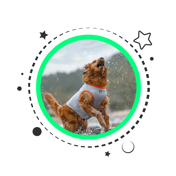 Dog Cooling Vest Product Category