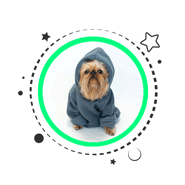 Dog Hoodies Product Category