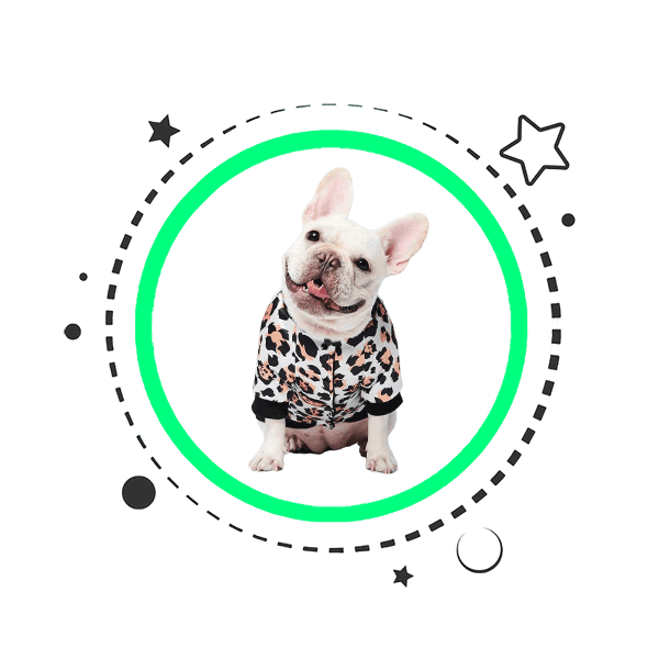 Dog Jumper Product Category