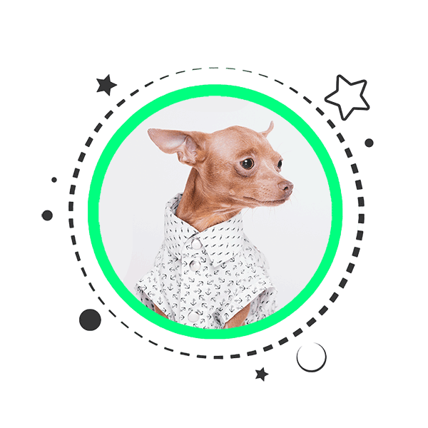 Dog Shirts Product Category