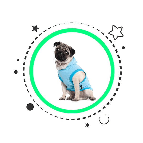 Dog Vest Product Category