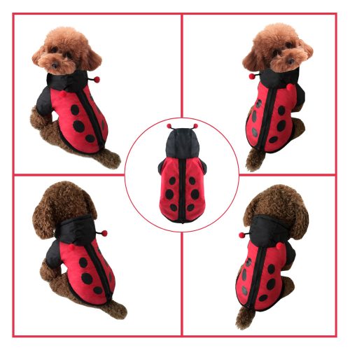 Small dog wearing a padded red and black ladybug dog costume.
