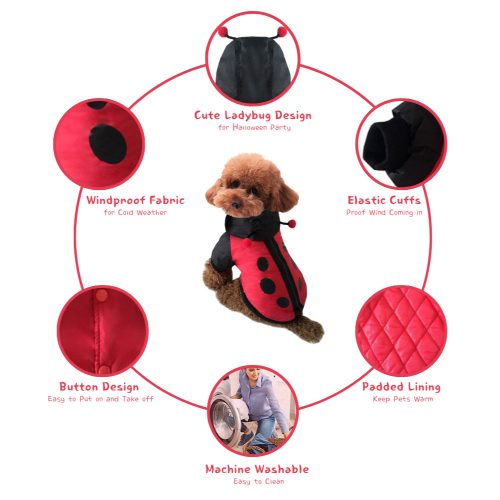 Ladybug Dog Costume shown on a small dog, highlighting breathable fabric, secure elasticated cuffs, and lightweight padded body.