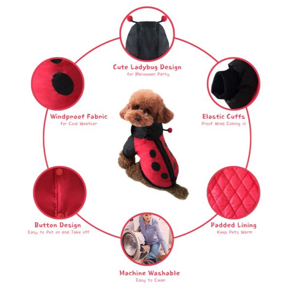 Ladybug Dog Costume shown on a small dog, highlighting breathable fabric, secure elasticated cuffs, and lightweight padded body.