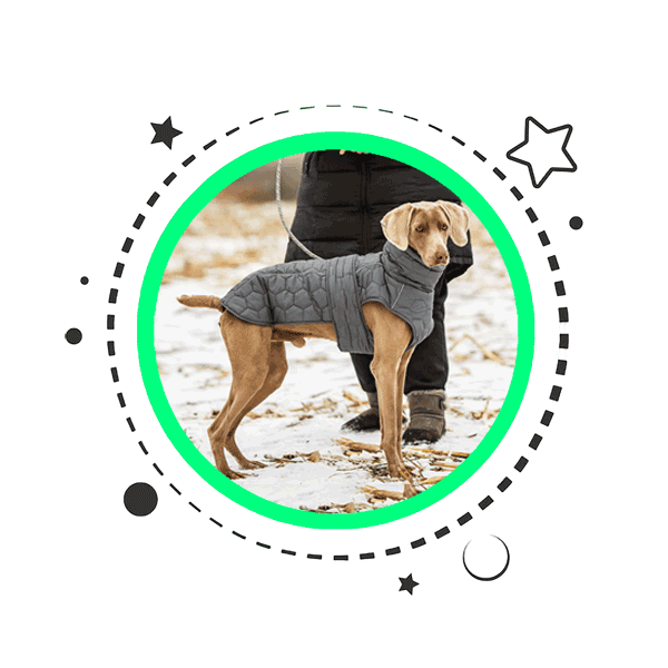 Waterproof Dog Coat Product Category