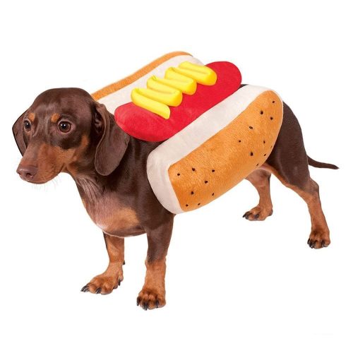 Small dog wearing Hot Dog Dog Costume shown from the front, featuring bun and mustard design.