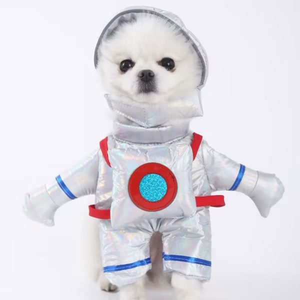 Small dog wearing Spaceman Dog Costume with silver suit and astronaut helmet, standing on a white background.