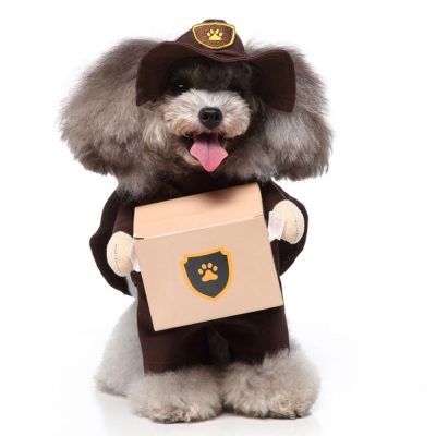 Delivery Driver Dog Costume