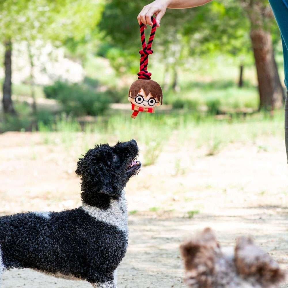 harry-potter-dog-toy-lifestyle1