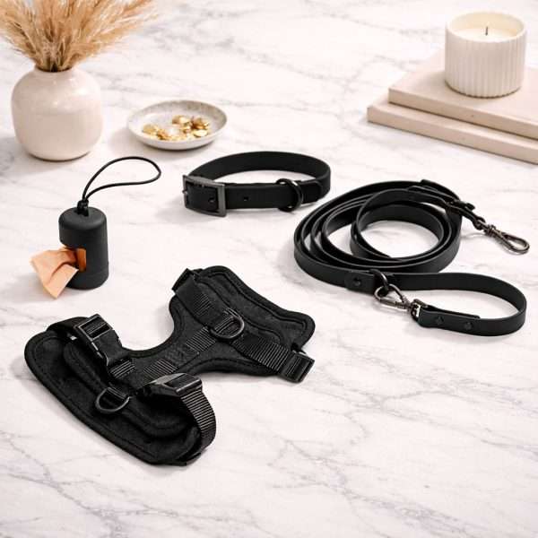 Signature Walking Pack