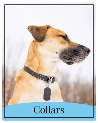 collars