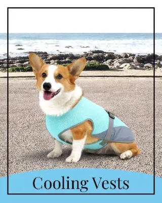cooling-vests-card