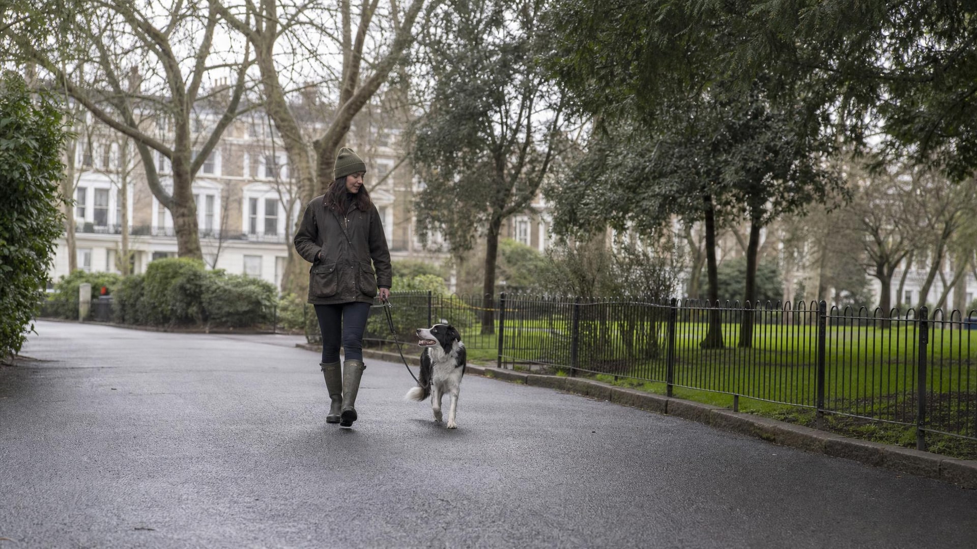 Dog walking calmly beside owner on a loose lead