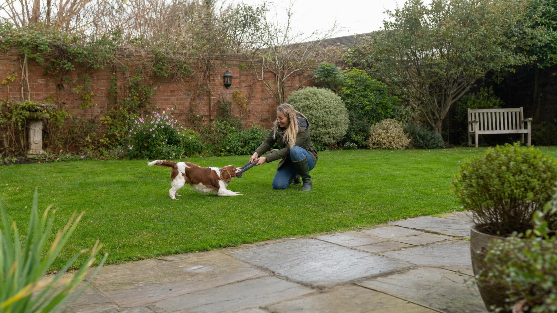 Dog calmly experiencing a new outdoor environment