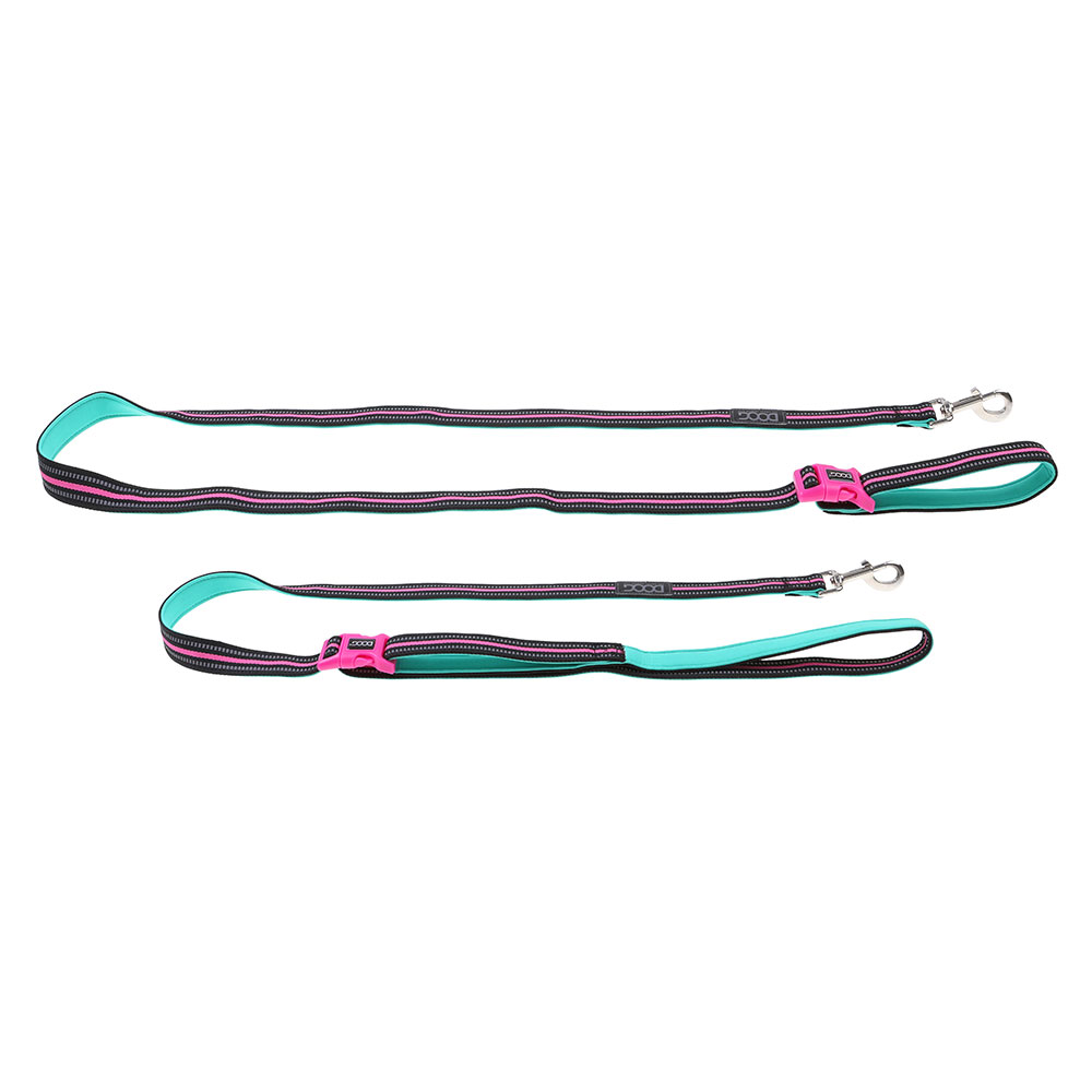 DOOG Lead Turquoise & Pink - Image 7