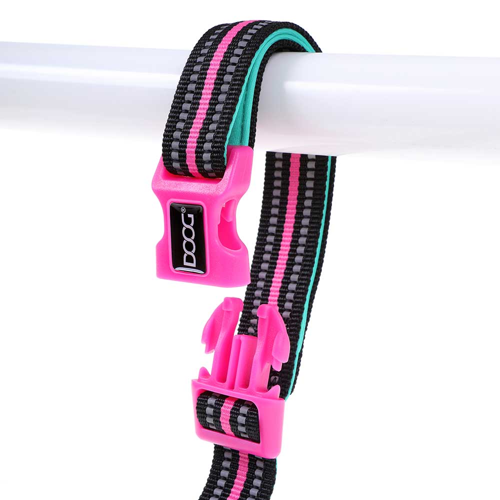 DOOG Lead Turquoise & Pink